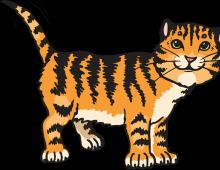 Сонник амурский тигр. К чему снится тигр? К чему снится тигр по Эзотерическому соннику