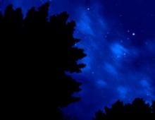 Seeing the starry sky in a dream