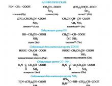 Aminokyselinové složení bílkovin Aminokyseliny, které jsou součástí bílkovin