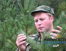 Russian foresters want to triple their salaries