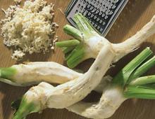 Peel horseradish root quickly and without tears: useful tips Vegetable appetizer with horseradish