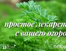 Parsley seeds - therapeutic effects and contraindications