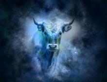 Characteristics of a Leo man born in the year of the Ox Leo and Ox horoscope