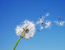 Сколько весит воздух Какой воздух является самым тяжелым