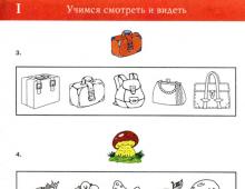 Types of special classes for the development of visual perception