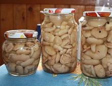 How to prepare pickled boletus for the winter recipes