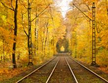 Вірші про осінь - найкращі вірші про осінь