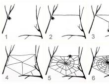 Паук который плетет паутину