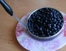 Recipe: Shortbread pie with blueberries - with cottage cheese Pie with frozen blueberries and cottage cheese